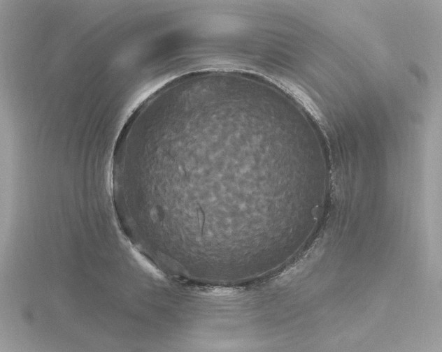 X0000116570839200912101509