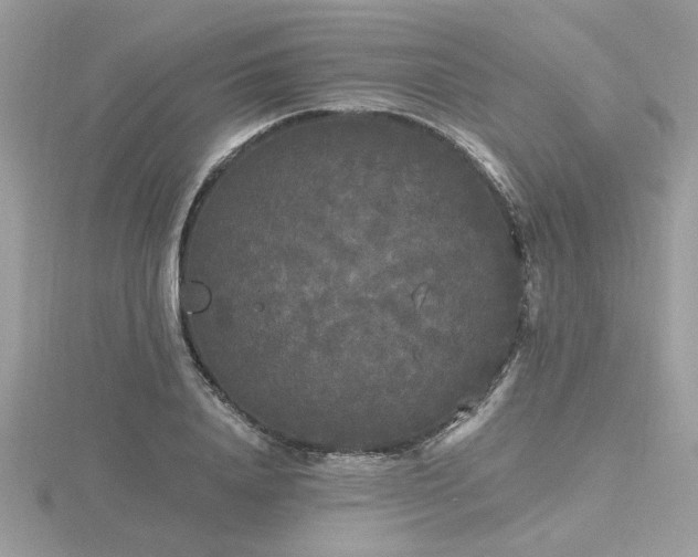 X0000116570840200912101509