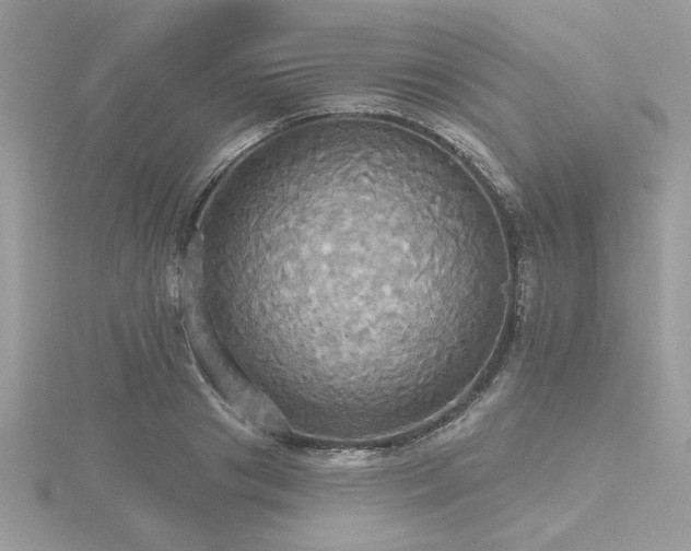 X0000116570841200912101509