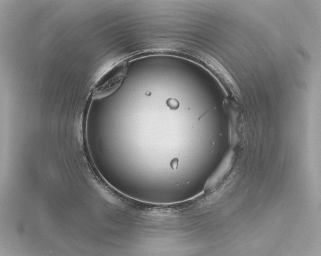 X0000116570842200912101509