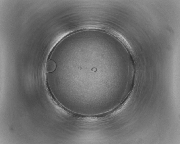 X0000116570844200912101509