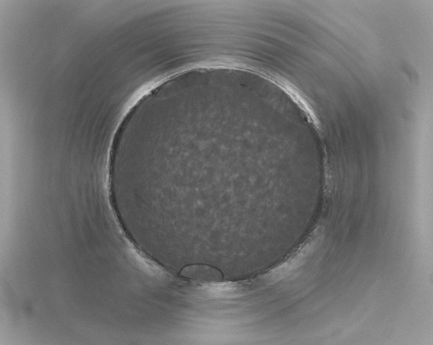 X0000116570845200912101509