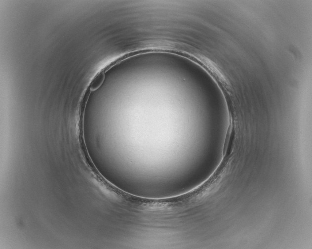 X0000116570846200912101509