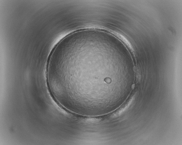 X0000116570847200912101509