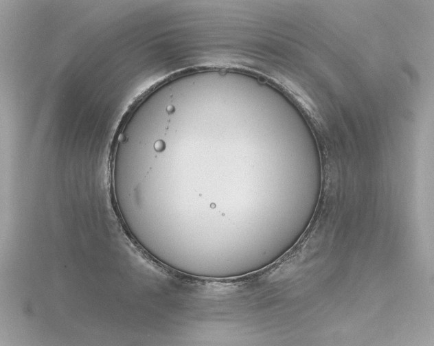 X0000116570848200912101509