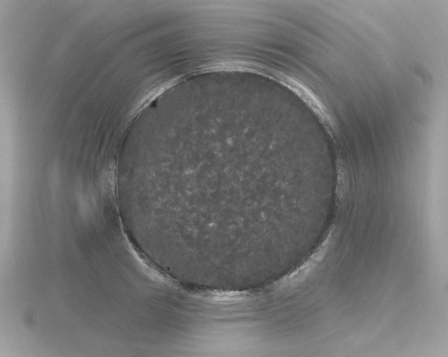 X0000116570849200912101509