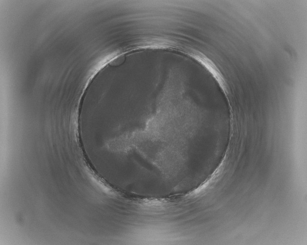 X0000116570850200912101509