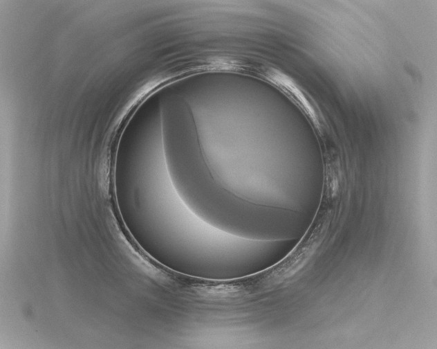 X0000116570851200912101509