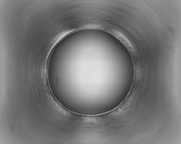 X0000116570852200912101509