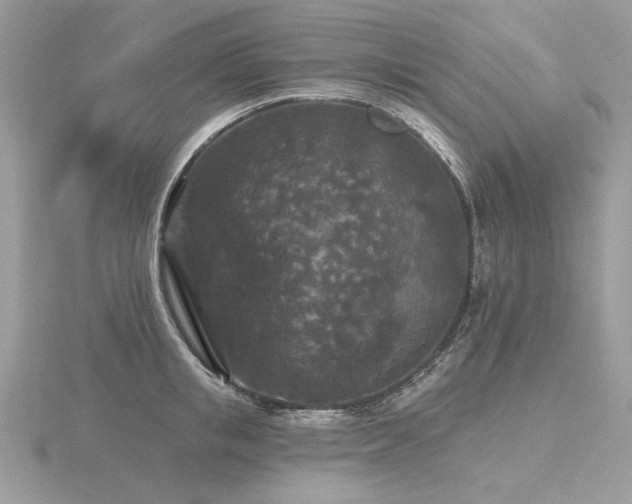 X0000116570853200912101509