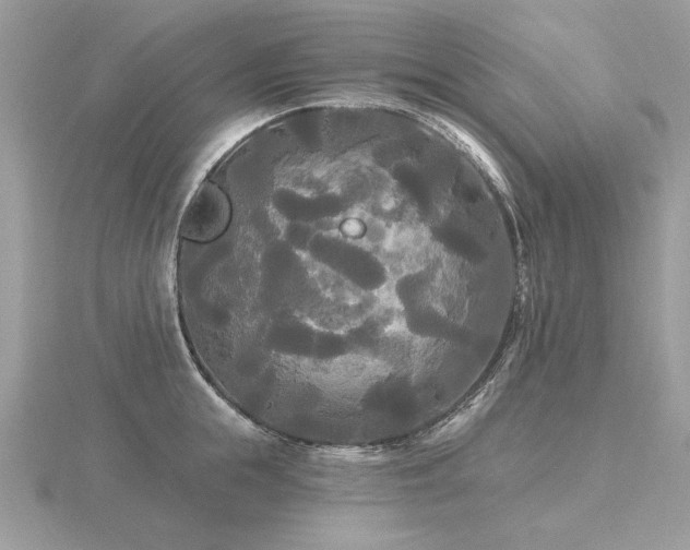 X0000116570855200912101509