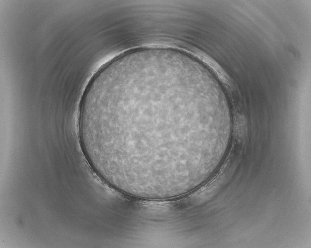 X0000116570856200912101509