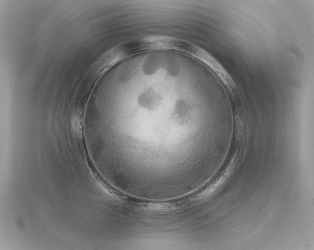 X0000116570857200912101509