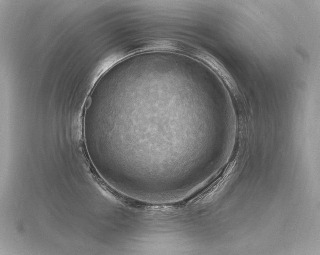 X0000116570858200912101509