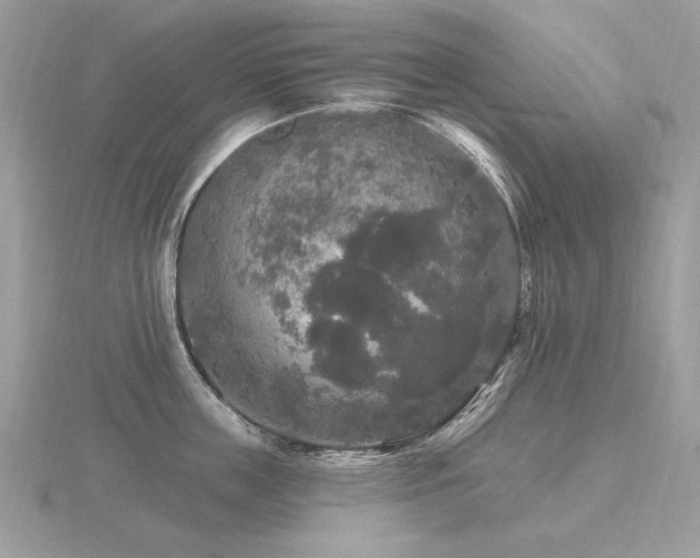 X0000116570859200912101509