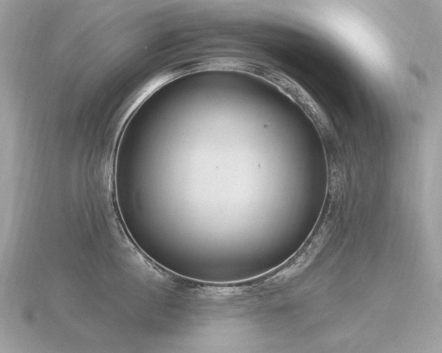 X0000116570860200912101509