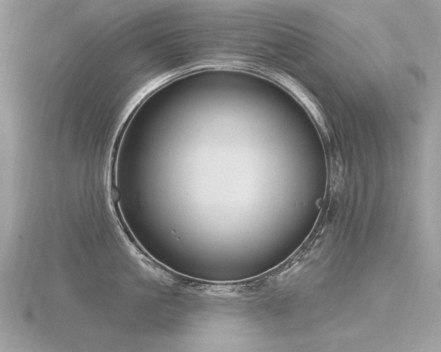 X0000116570861200912101509