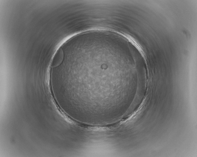 X0000116570862200912101509