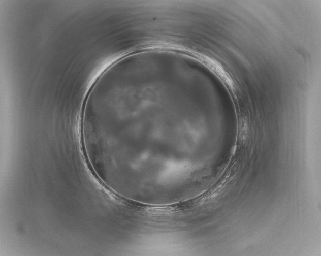 X0000116570863200912101509