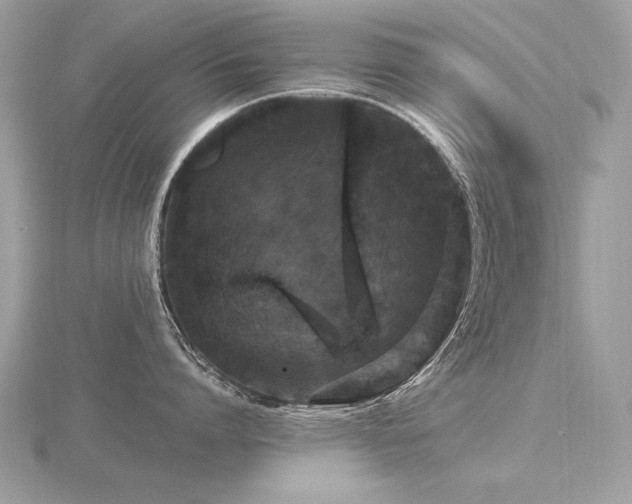 X0000116570864200912101509