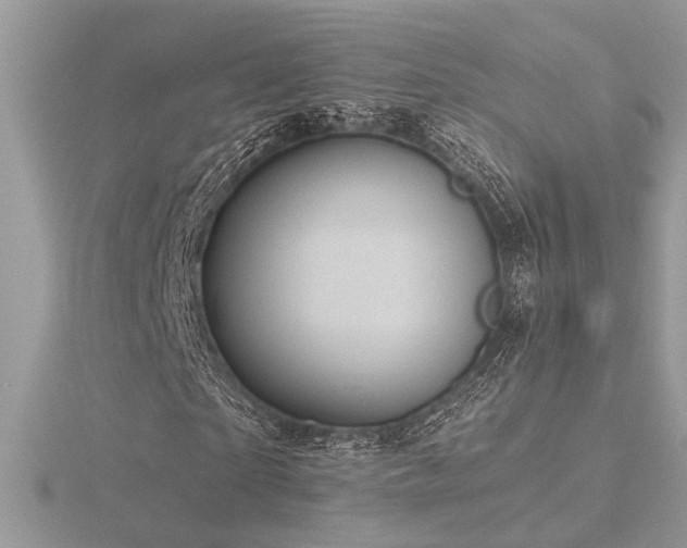 X0000116570865200912101508