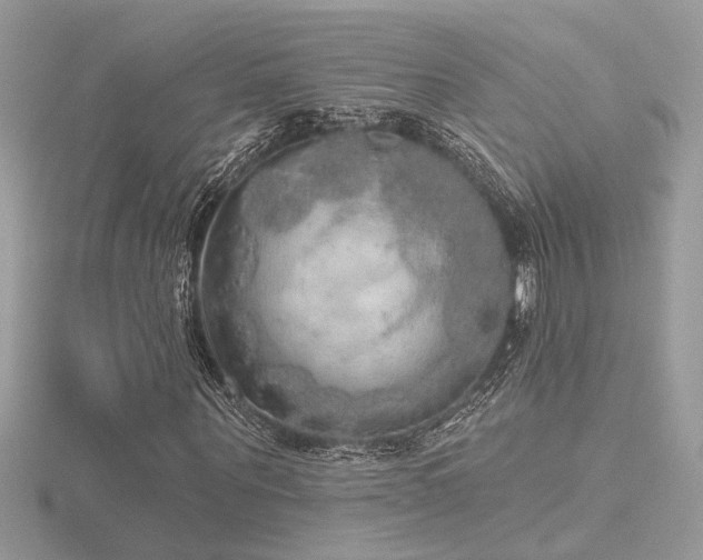 X0000116570867200912101508