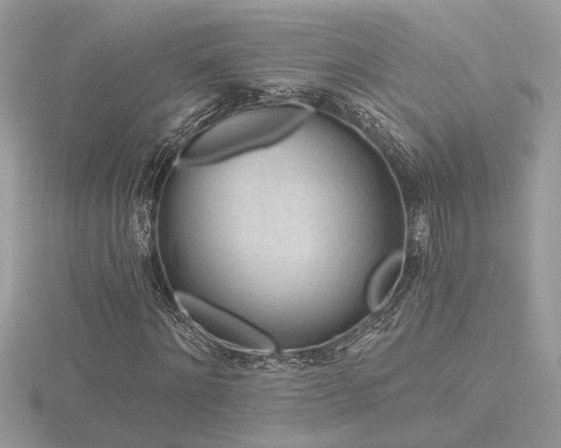 X0000116570868200912101508