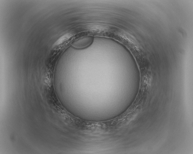 X0000116570869200912101508