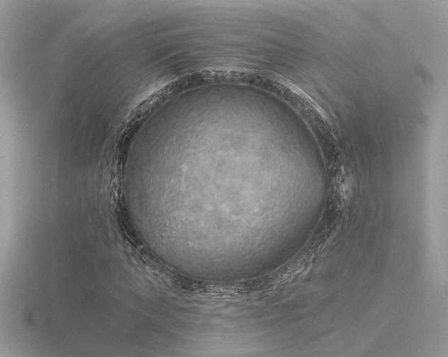 X0000116570870200912101508