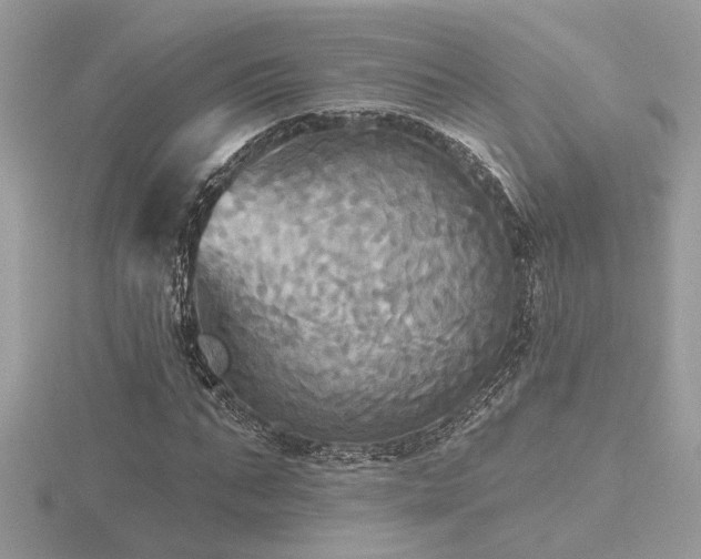 X0000116570871200912101508