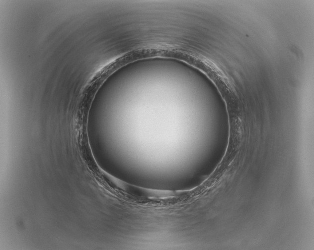 X0000116570872200912101508