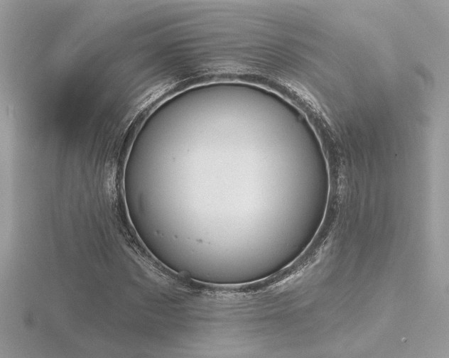 X0000116570873200912101508