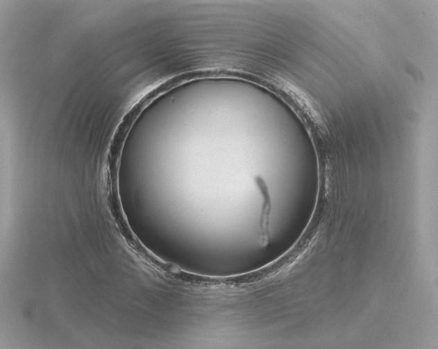 X0000116570876200912101508