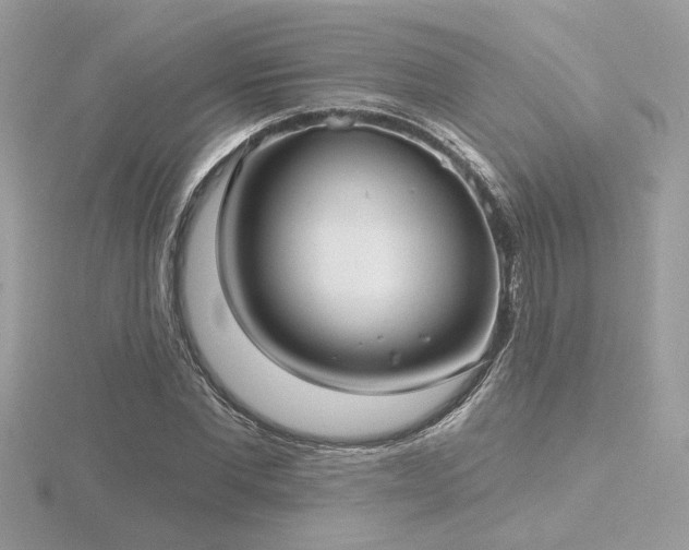 X0000116570877200912101508