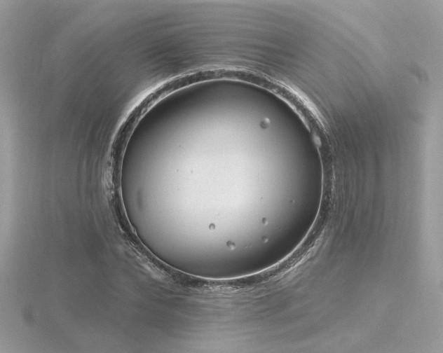 X0000116570878200912101508