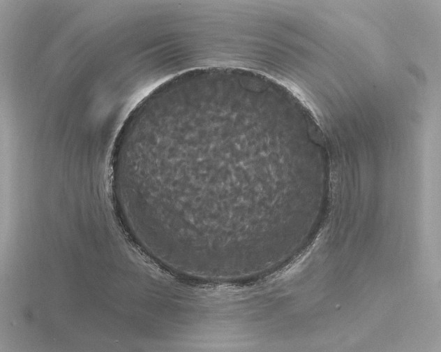 X0000116570879200912101508