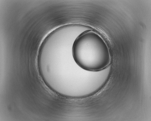 X0000116570880200912101508