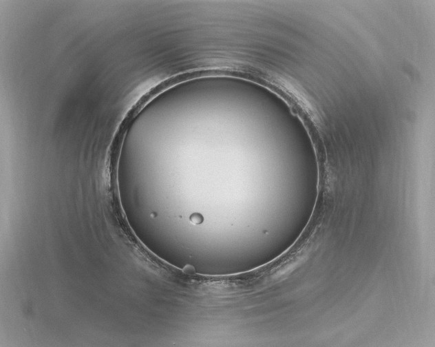 X0000116570883200912101508