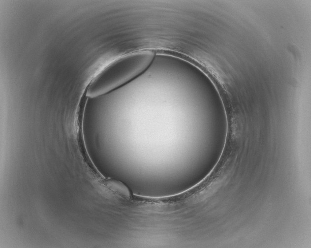 X0000116570885200912101508