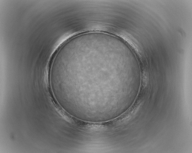 X0000116570886200912101508