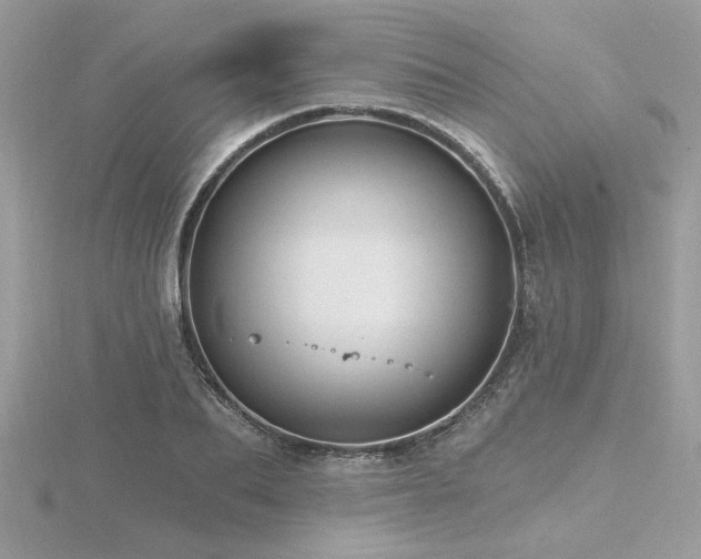 X0000116570887200912101508