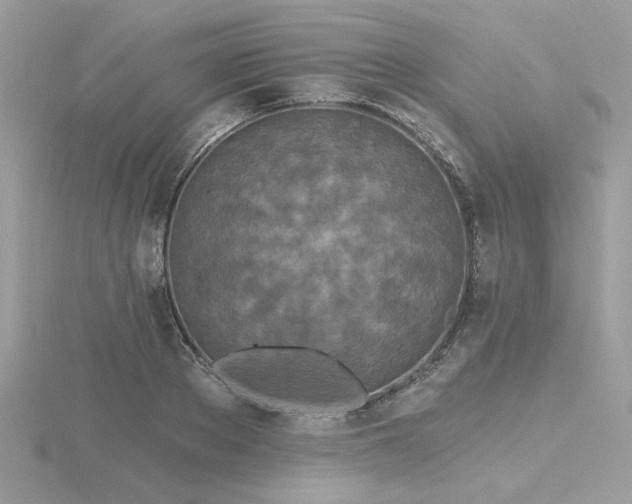 X0000116570889200912101508