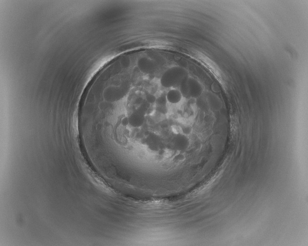 X0000116570891200912101508