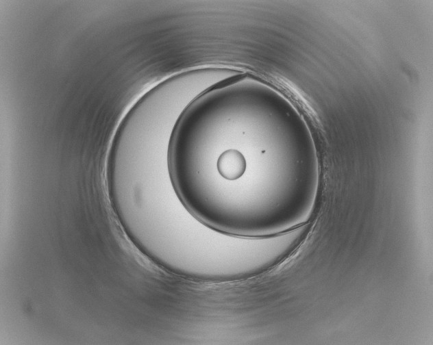 X0000116570892200912101508