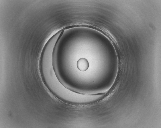 X0000116570893200912101508