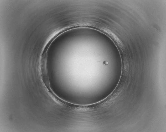 X0000116570894200912101508