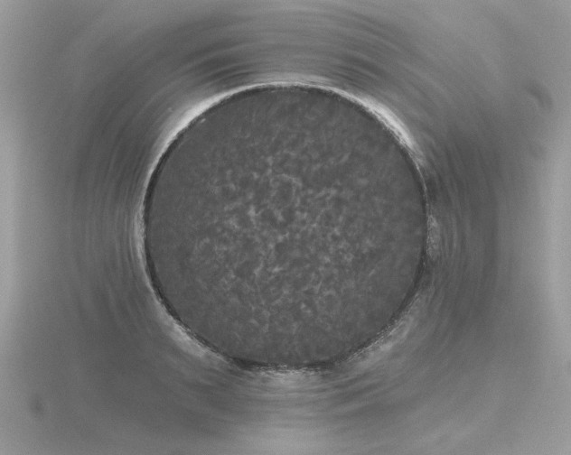 X0000116570895200912101508