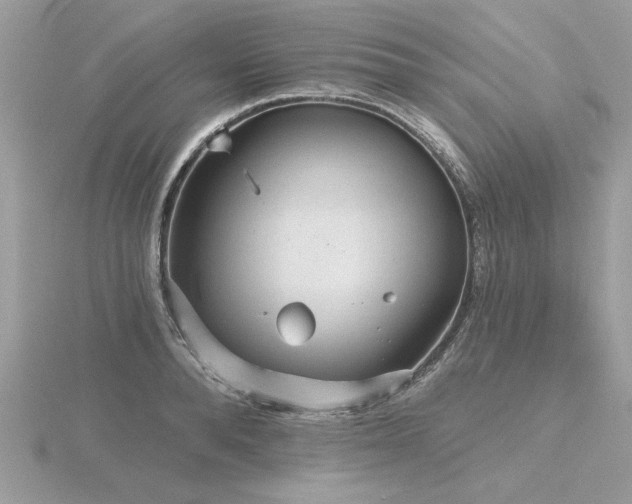 X0000116570896200912101508