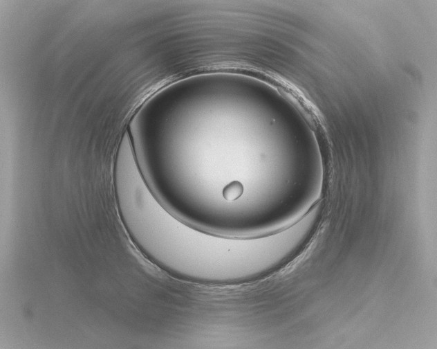 X0000116570897200912101508