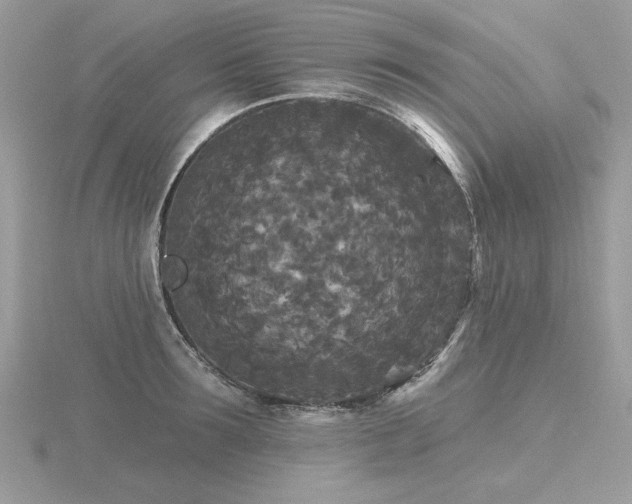 X0000116570899200912101508